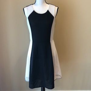 DKNYC fit and flare dress